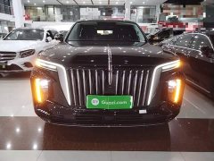 Hongqi E-HS9 460km flagship version six seats - фото 3