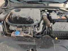 Ford EADO PLUS Blue Whale NE 1.4T GDI DCT flagship - фото 10