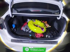 Ford Eado PLUS 1.4T dual-clutch high-energy version - фото 15