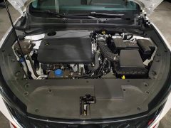 Ford Eado PLUS 1.4T dual-clutch high-energy version - фото 16