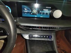 Ford Eado PLUS 1.4T dual-clutch high-energy version - фото 9