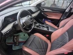 Ford EADO PLUS Blue Whale NE 1.4T GDI DCT Premium Edition - фото 7