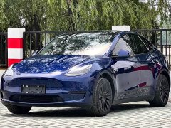 Tesla Model Y Edition - фото 1