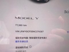 Tesla Model Y Edition - фото 12