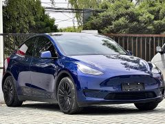 Tesla Model Y Edition - фото 2
