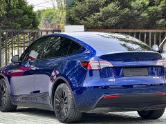 Tesla Model Y Edition - фото 3