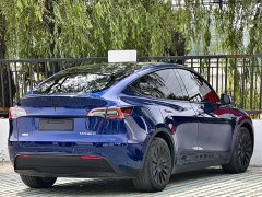 Tesla Model Y Edition - фото 4