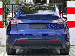 Tesla Model Y Edition - фото 5