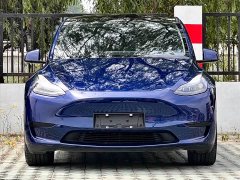 Tesla Model Y Edition - фото 6
