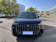 Voyah Lantu Dreamer PHEV Extra Long Battery Life Excellent Edition - фото 2