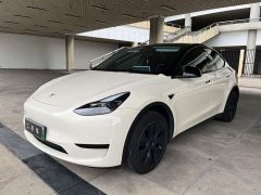 Tesla Model Y 2022 rear-wheel drive version - фото 1