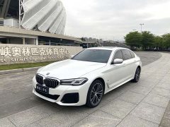 BMW 5 Series facelift 530Li leading luxury package - фото 1