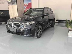 BMW X5 2023 xDrive 30Li Exclusive M Sports Night Package - фото 1
