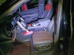 Hongqi Tiangong 08 730 Max rear-wheel drive version - фото 16