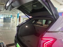 Hongqi Tiangong 08 2025 730 Max rear-wheel drive version - фото 19