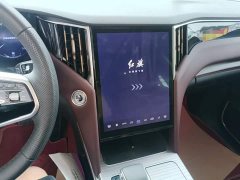 Hongqi HS7 PHEV 2024 2.0T PHEV four-wheel drive Qichang version 6 seats - фото 13