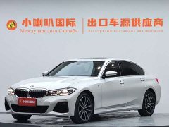 BMW 3 Series 320Li M Sports Package - фото 1