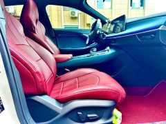 Lexus MG7 2.0T Automatic Beauty Hunting Luxury Edition - фото 13