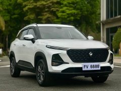 Baojun RS-3 2020 1.5L CVT intelligent luxury - фото 3