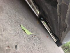 Changan UNI-V 2022 1.5T premium - фото 17