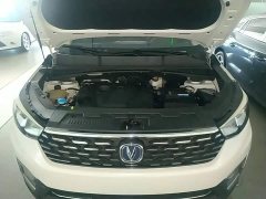 Changan CS55 2019 1.5T automatic color type National VI - фото 20
