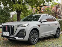 Hongqi HS5 2.0T four-wheel drive Qixiang Pro version - фото 1