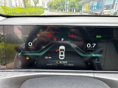 Ford EADO PLUS Blue Whale NE 1.4T GDI DCT flagship - фото 19