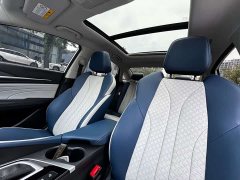Ford EADO PLUS Blue Whale NE 1.4T GDI DCT flagship - фото 8
