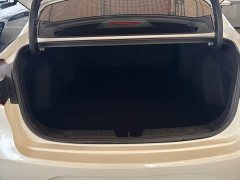 Ford EADO PLUS Blue Whale NE 1.4T GDI DCT Premium Edition - фото 15