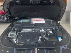 Hongqi H5 2.0T Automatic Zhilianqichang Edition - фото 13