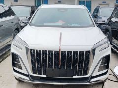 Hongqi HS3 1.5T two-wheel drive brave version - фото 1