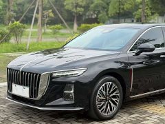 Hongqi H5 2.0T Automatic Zhilianqichang Edition - фото 11