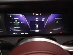 Hongqi E-HS9 460km flagship version six seats - фото 12