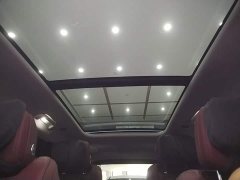 Hongqi E-HS9 460km flagship version six seats - фото 18