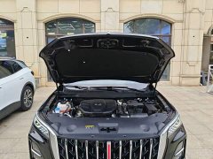 Hongqi HS5 2023 2.0T Qixiang Pro version - фото 20