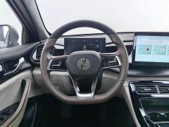 BYD Qin PLUS Champion Edition DM-i 55KM Leading Type - фото 11
