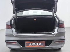 BYD Qin PLUS Champion Edition DM-i 55KM Leading Type - фото 16