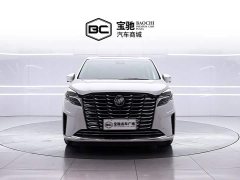 Buick GL8 ES Deluxe Version - фото 2