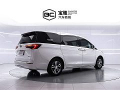 Buick GL8 ES Deluxe Version - фото 3