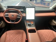 Ford Eado 1.5T GDI automatic flagship - фото 5