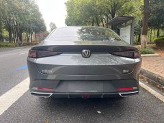 Ford Eado 1.5T GDI automatic flagship - фото 8