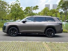 Volkswagen Teramont Pro 450TSI 4WD Peak Edition - фото 4