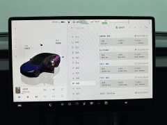 Tesla Model 3 rear-wheel drive version - фото 14