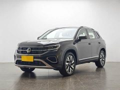 Tesla Tanyue 30 million units selected 300TSI - фото 1