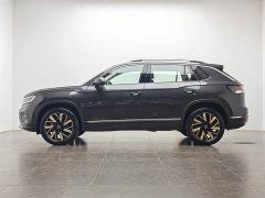 Tesla Tanyue 30 million units selected 300TSI - фото 10