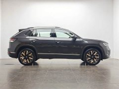 Tesla Tanyue 30 million units selected 300TSI - фото 11
