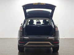 Tesla Tanyue 30 million units selected 300TSI - фото 12