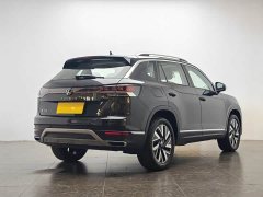 Tesla Tanyue 30 million units selected 300TSI - фото 3
