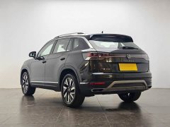Tesla Tanyue 30 million units selected 300TSI - фото 4