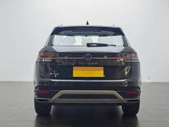Tesla Tanyue 30 million units selected 300TSI - фото 6